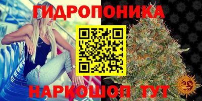 MDMA Аргун