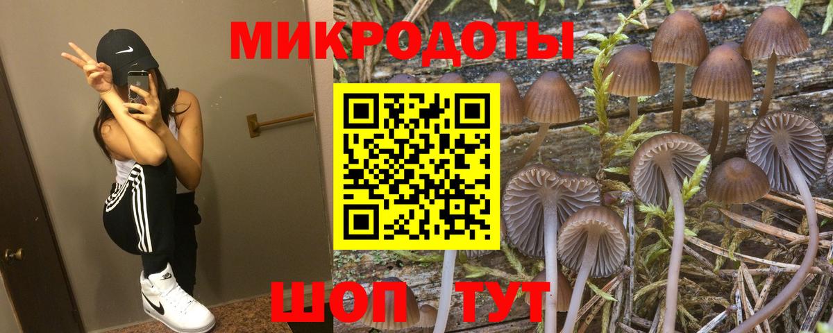 Псилоцибиновые грибы Cubensis Богородск